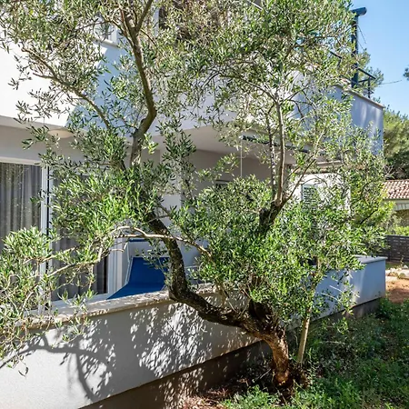 Artatore-1 By Interhome Appartamento *